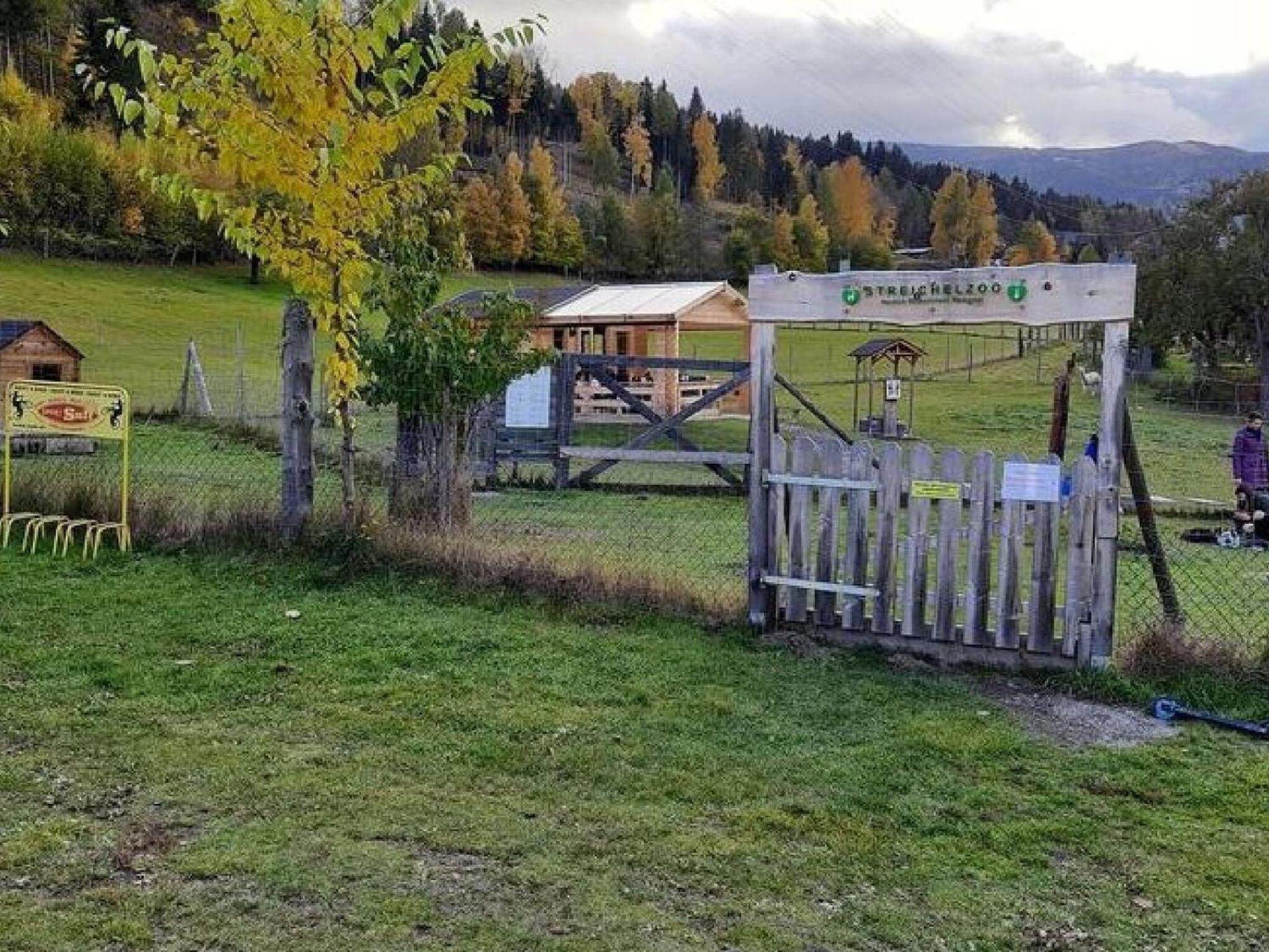 Chalet In St Georgen Ob Murau With Hot Tub ザンクト・ゲオルゲン・オプ・ムーラウ エクステリア 写真